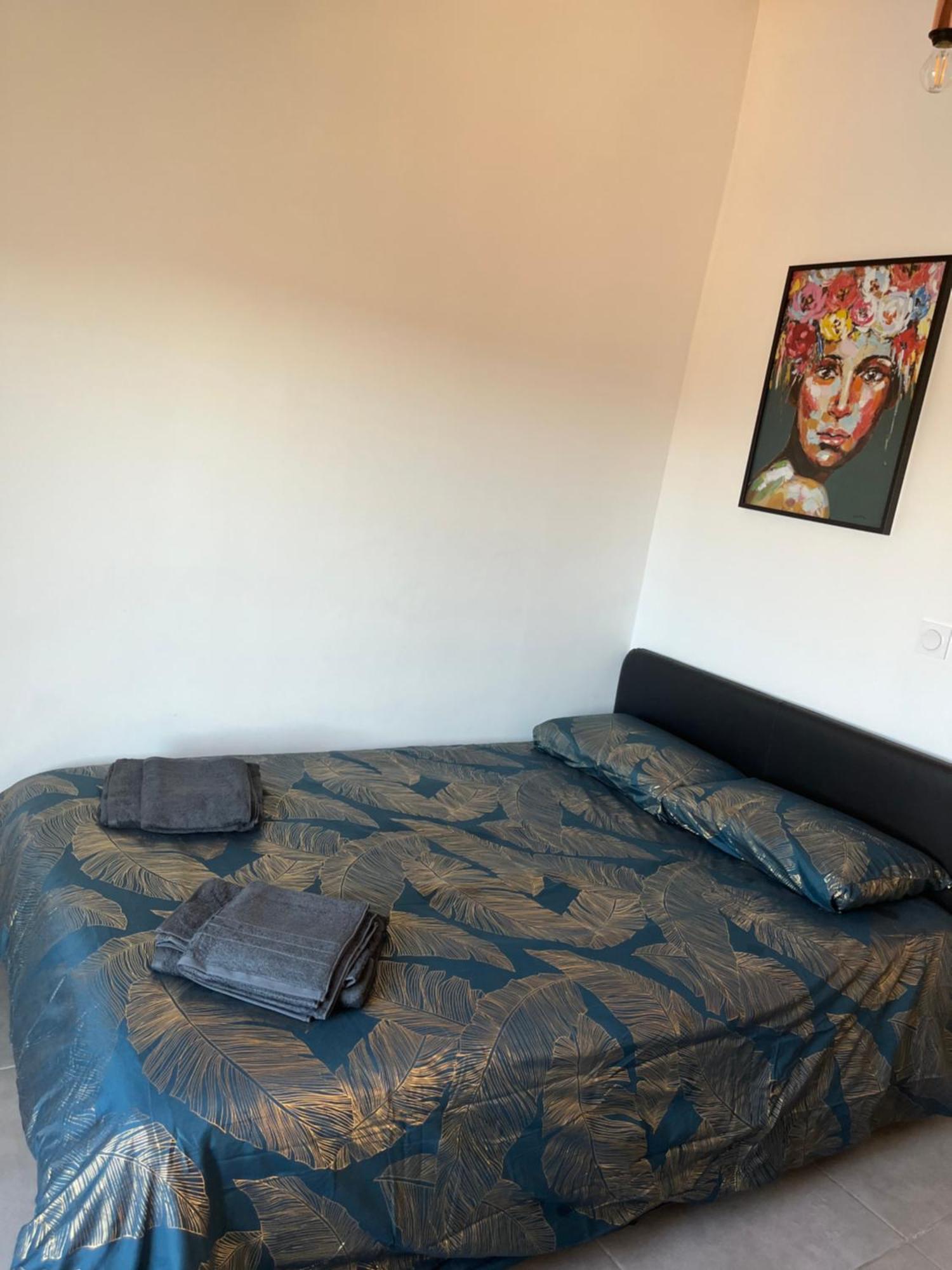 Charmant Appartement Climatise Quartier Las Cobas Perpignan Exteriér fotografie