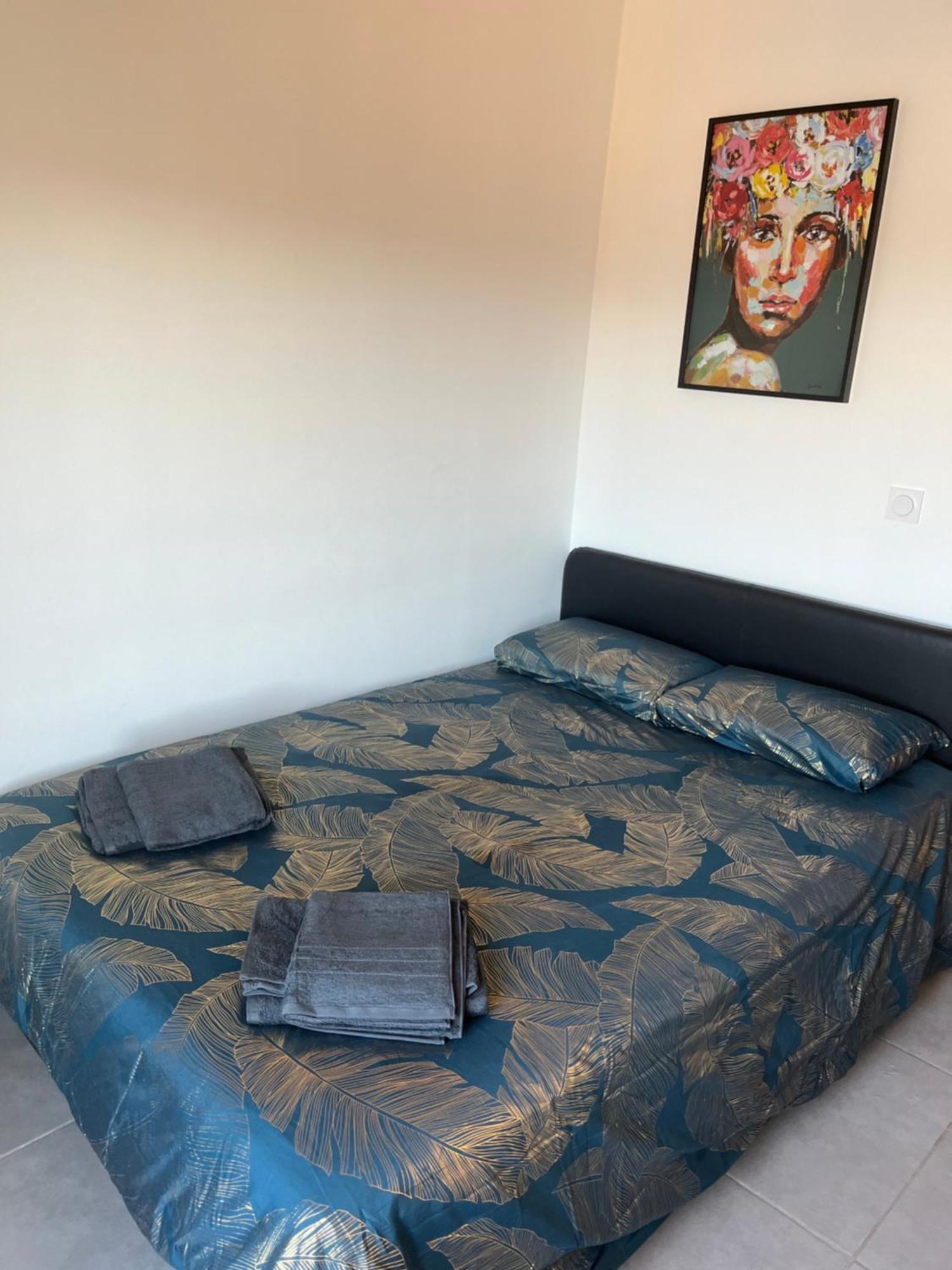 Charmant Appartement Climatise Quartier Las Cobas Perpignan Exteriér fotografie